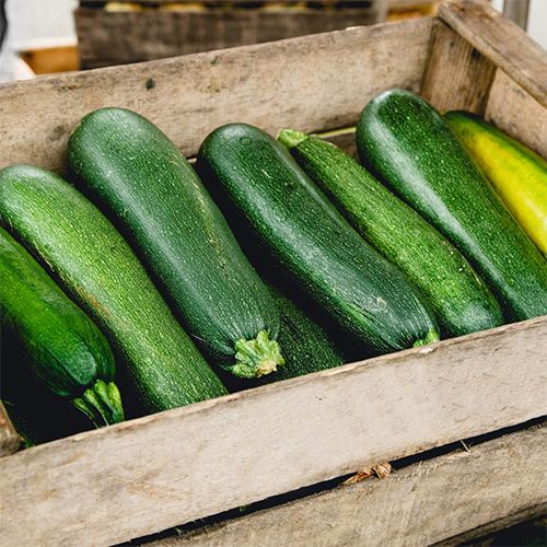 Courgettes vertes au kg